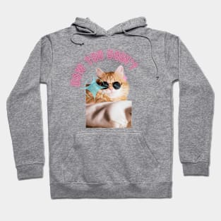 How you doin? Funny Cat Hoodie